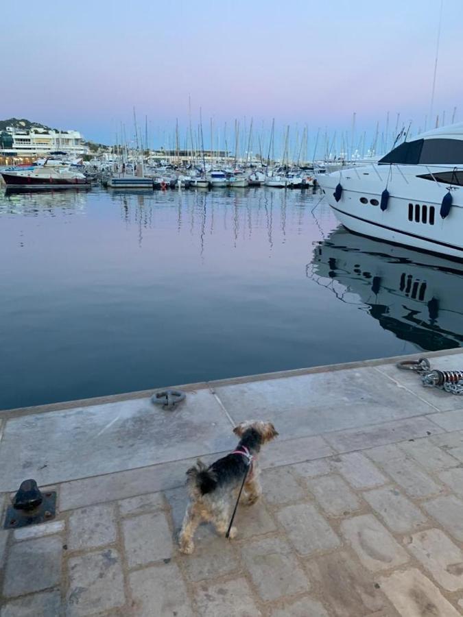 Cannes Old Port, Seafront & Seaview, Yacht Show Port Exterior foto